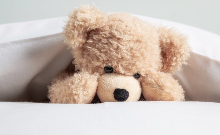 Sleeping with a Stuffed Animal as an Adult: Is It Normal?