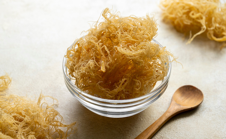 golden dried sea moss