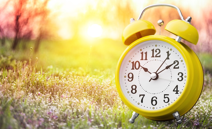 clock sitting outside in grass during springtime