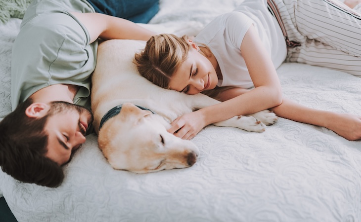 couple and dog lying on california king mattress